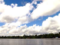 アマゾン川の河口付近。河幅が広く、九州がすっぽり入ります。写真に写ってる森は河に浮かぶ島です。